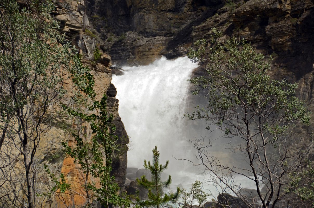 12 Lower Part Of White Falls From Berg Trail At Mount Robson